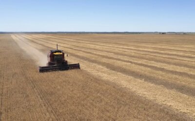 La Secretaría de Agricultura Simplifica los Registros de Productores y Comerciantes Agroindustriales