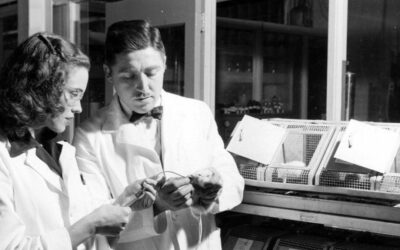 Helen Free: La química que revolucionó los controles de diabetes y embarazo