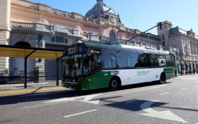 Protesta de Trabajadores del Transporte: Largas Filas y Descontento Ciudadano en el Paro de Colectivos