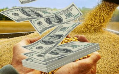 Agroexportadores liquidan más de 3.700 millones de dólares en junio antes de la subida de retenciones